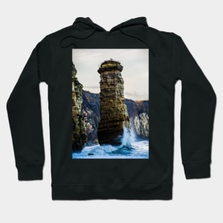 Marsden Bay Hoodie